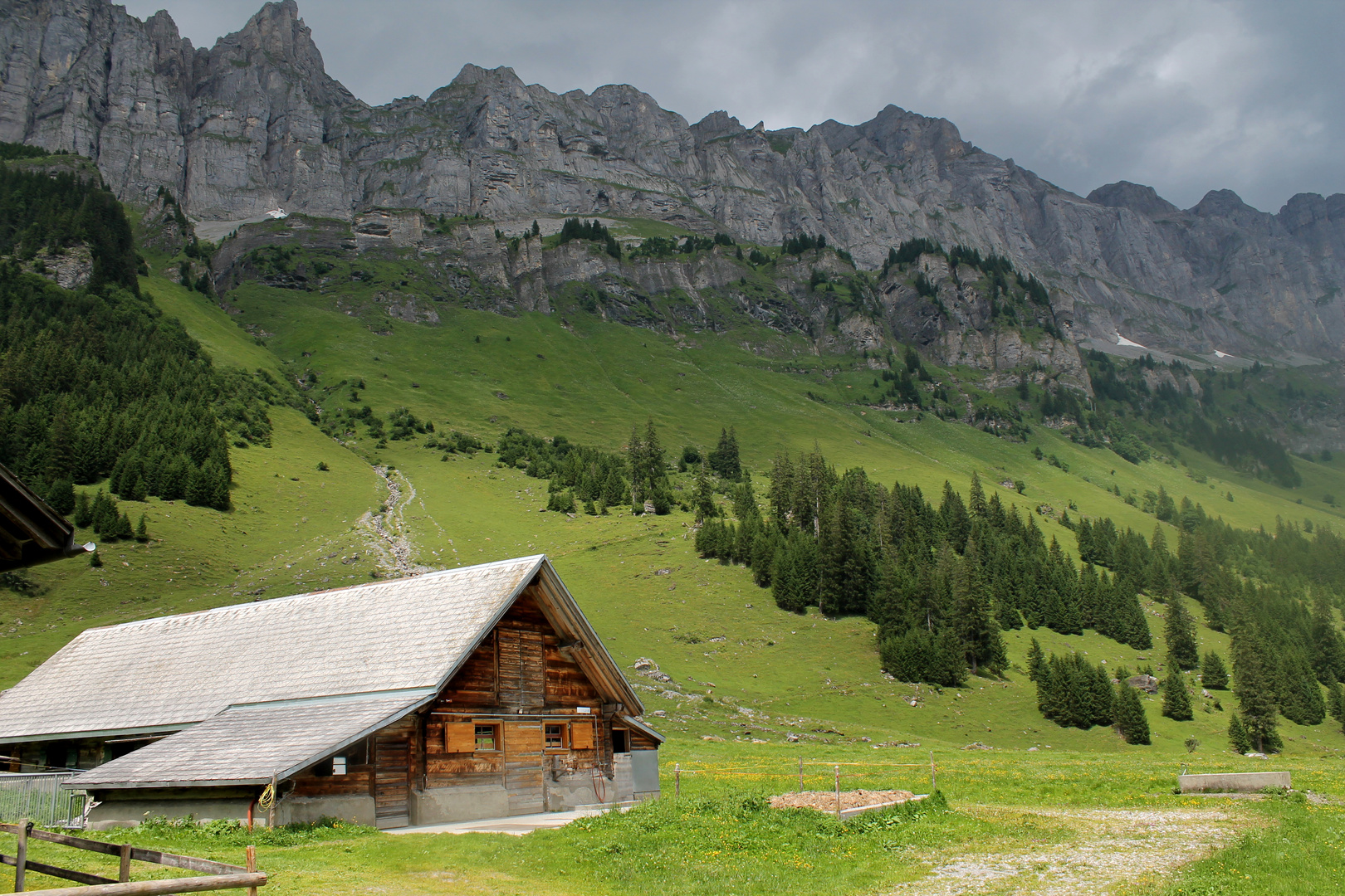 Lonely Shack