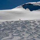 Lonely Skier