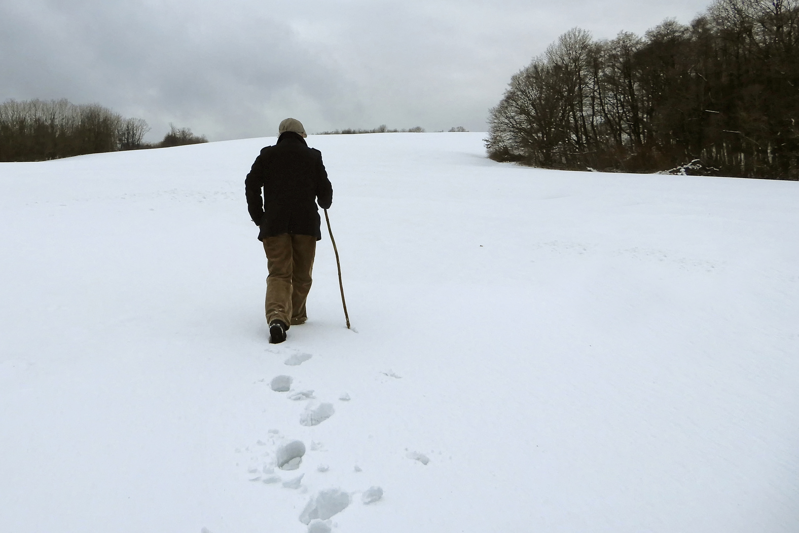 Lonely snow hiker