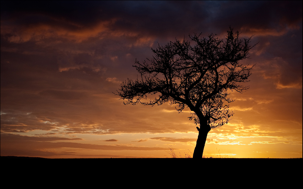 Lonely Standing