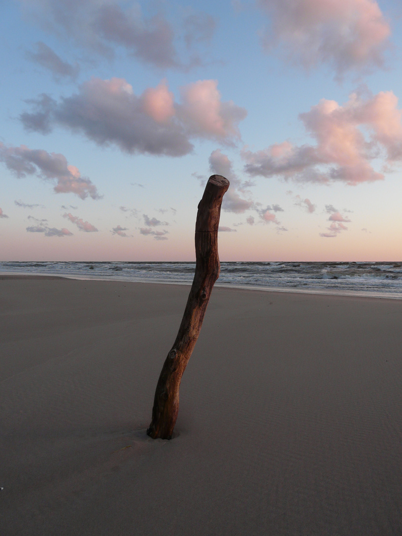 Lonely Stick