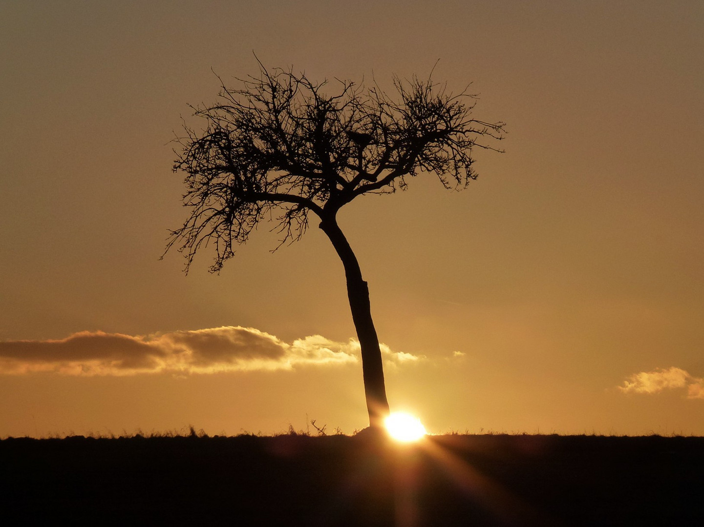 Lonely Sunset