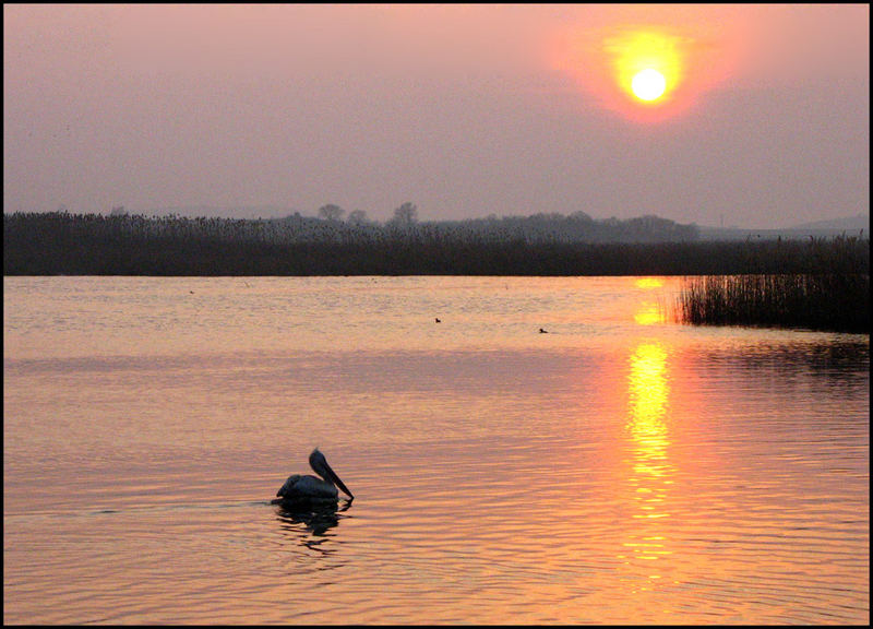 Lonely sunset