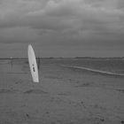 Lonely Surfboard