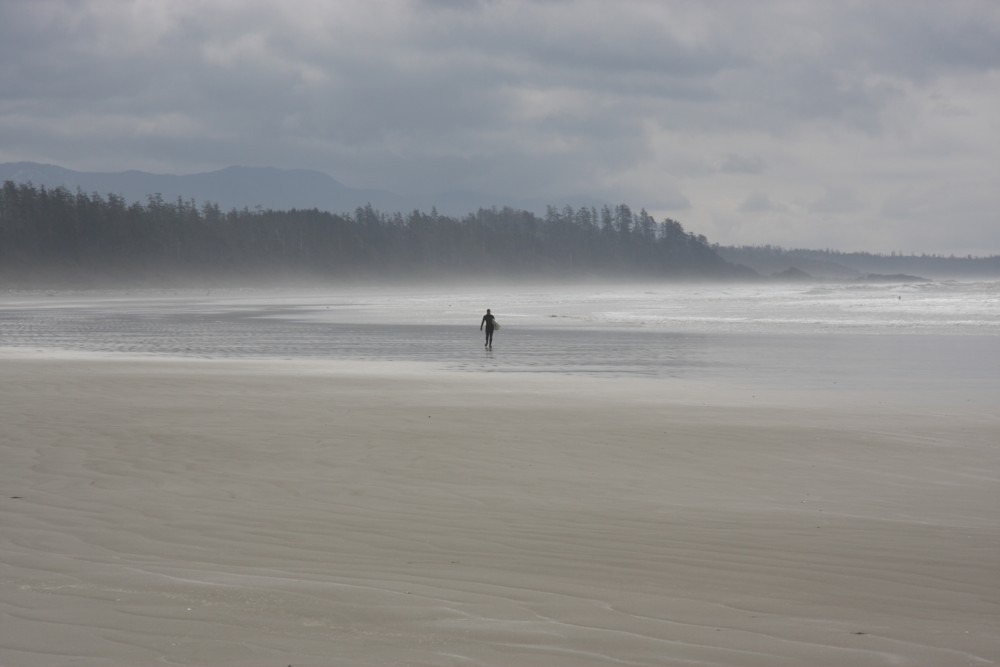 Lonely Surfer