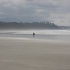 Lonely Surfer