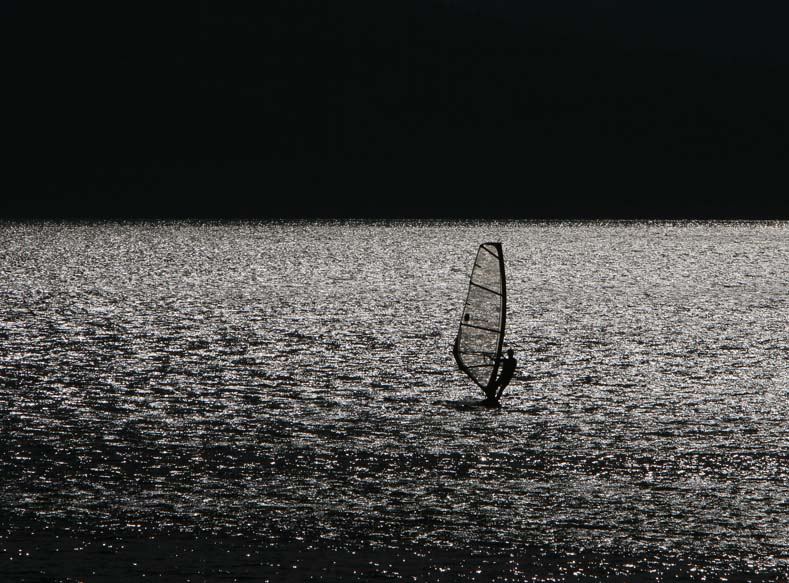 lonely surfer