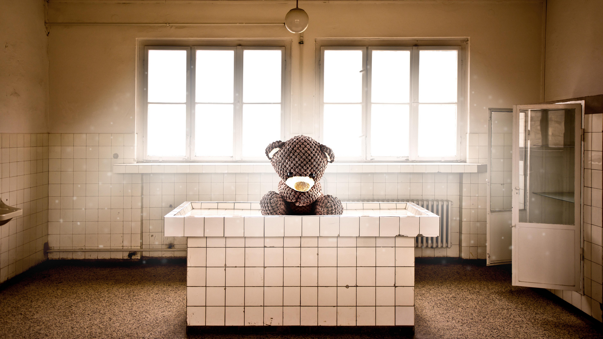 lonely teddy