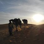 Lonely - Tourism spoiled Sahara