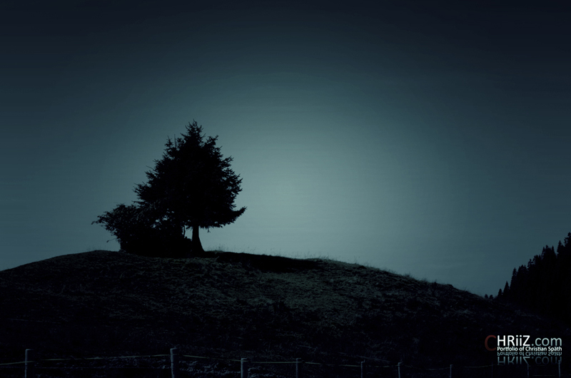 Lonely tree