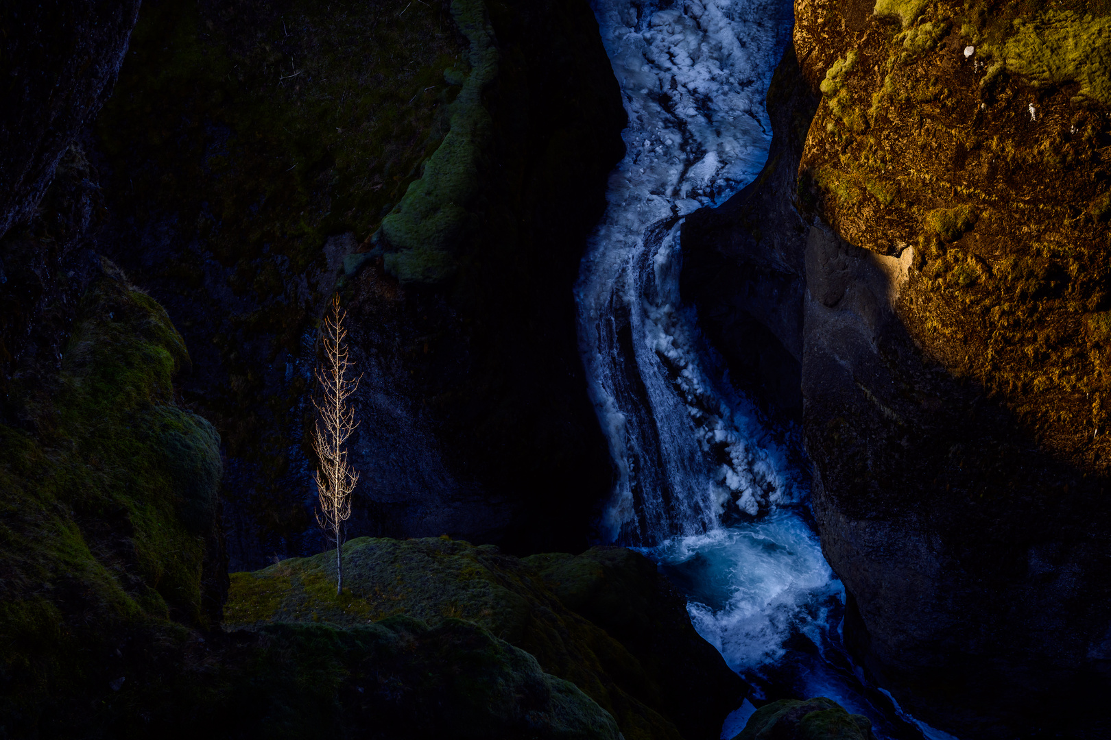 Lonely Tree - Icy Waterfalls... Iceland 2019