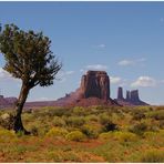 Lonely tree in Monument Vallley