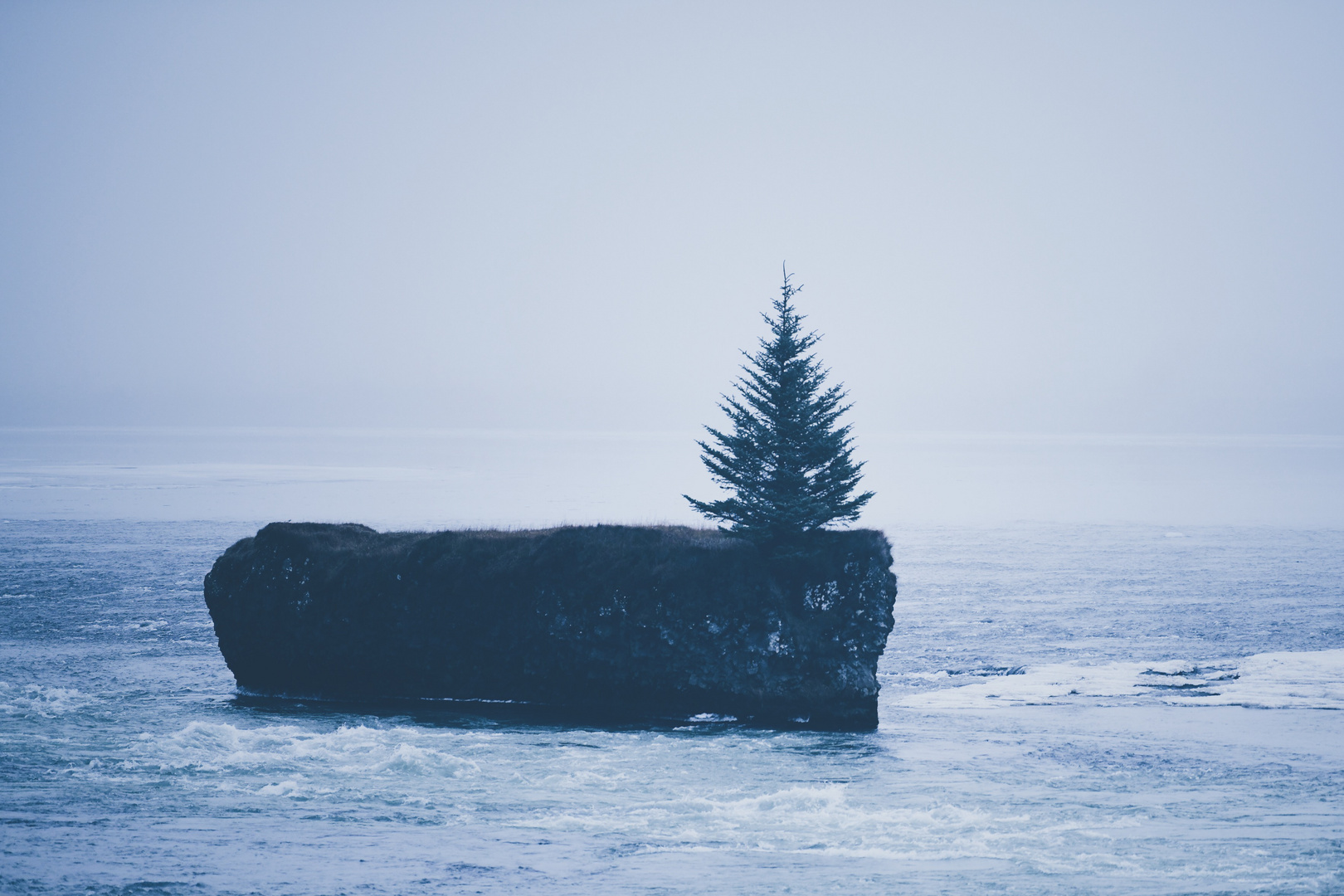 Lonely Tree - Selfoss - Iceland 2019