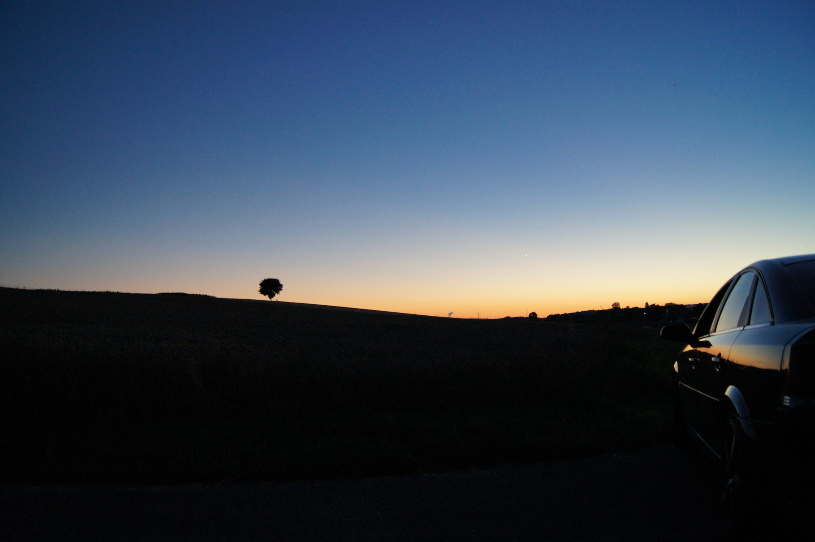 Lonely Tree Sunset