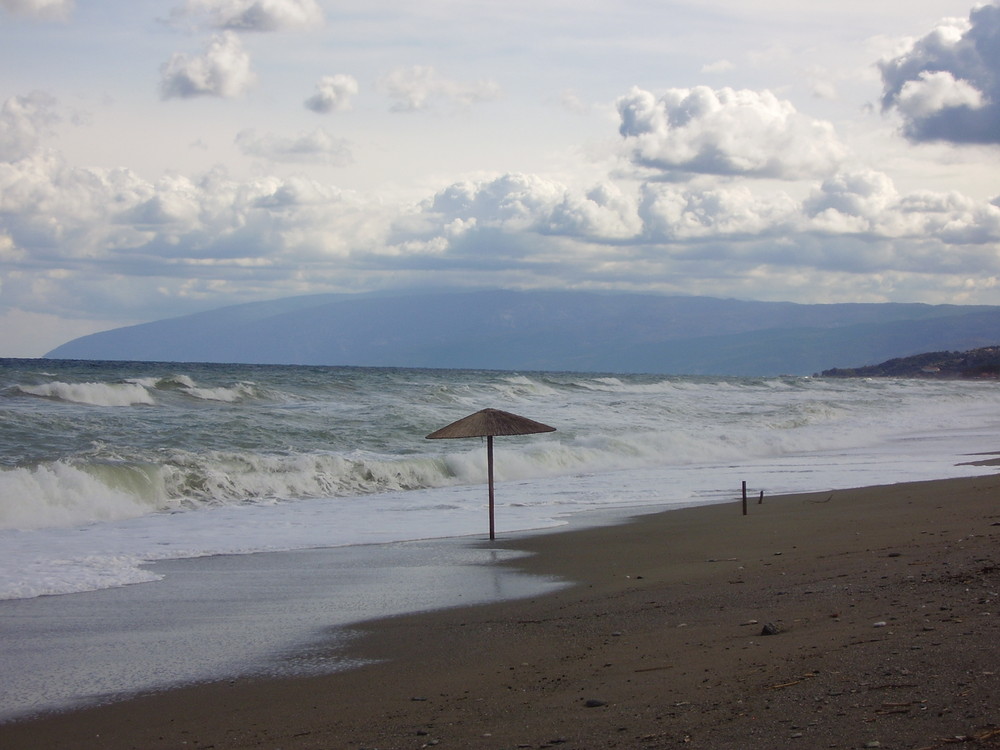 Lonely umbrella