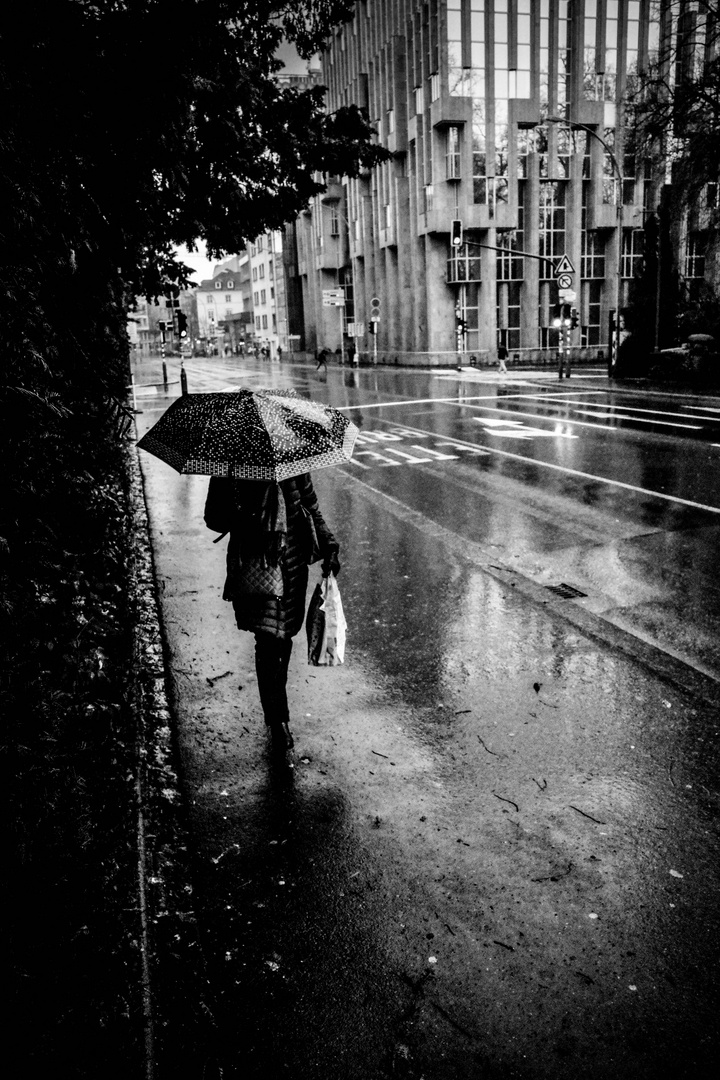 lonely umbrella