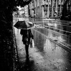 lonely umbrella