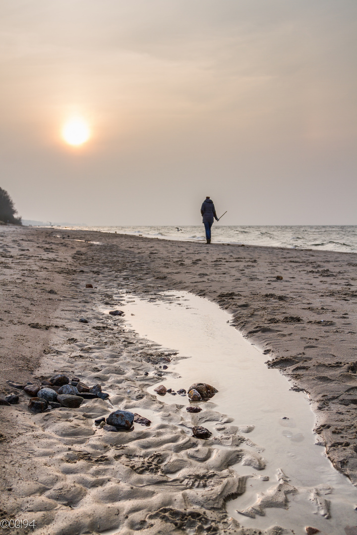 Lonely Walker