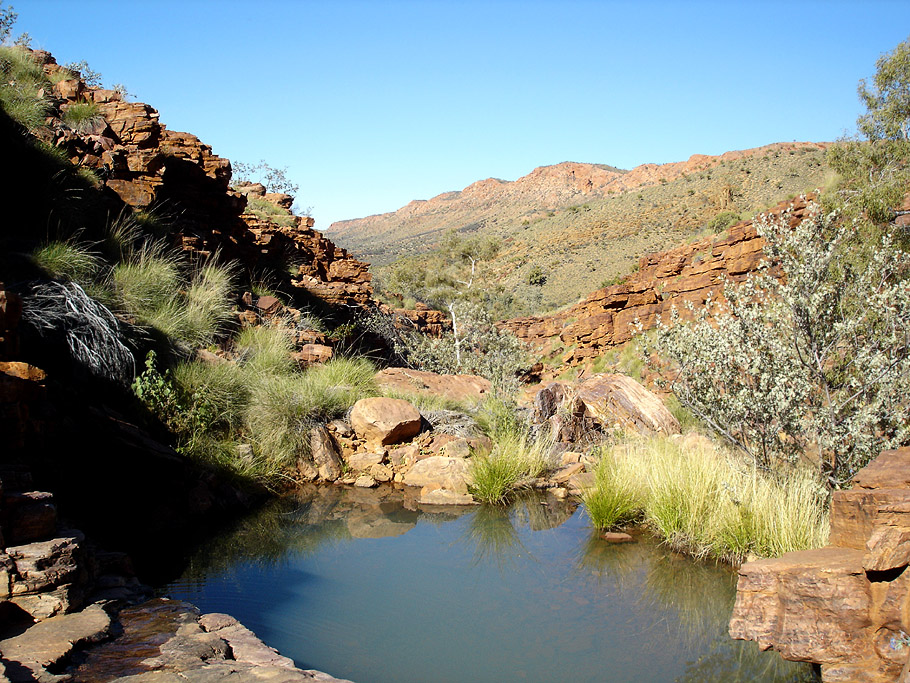 Lonely waterhole