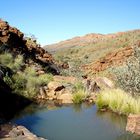 Lonely waterhole