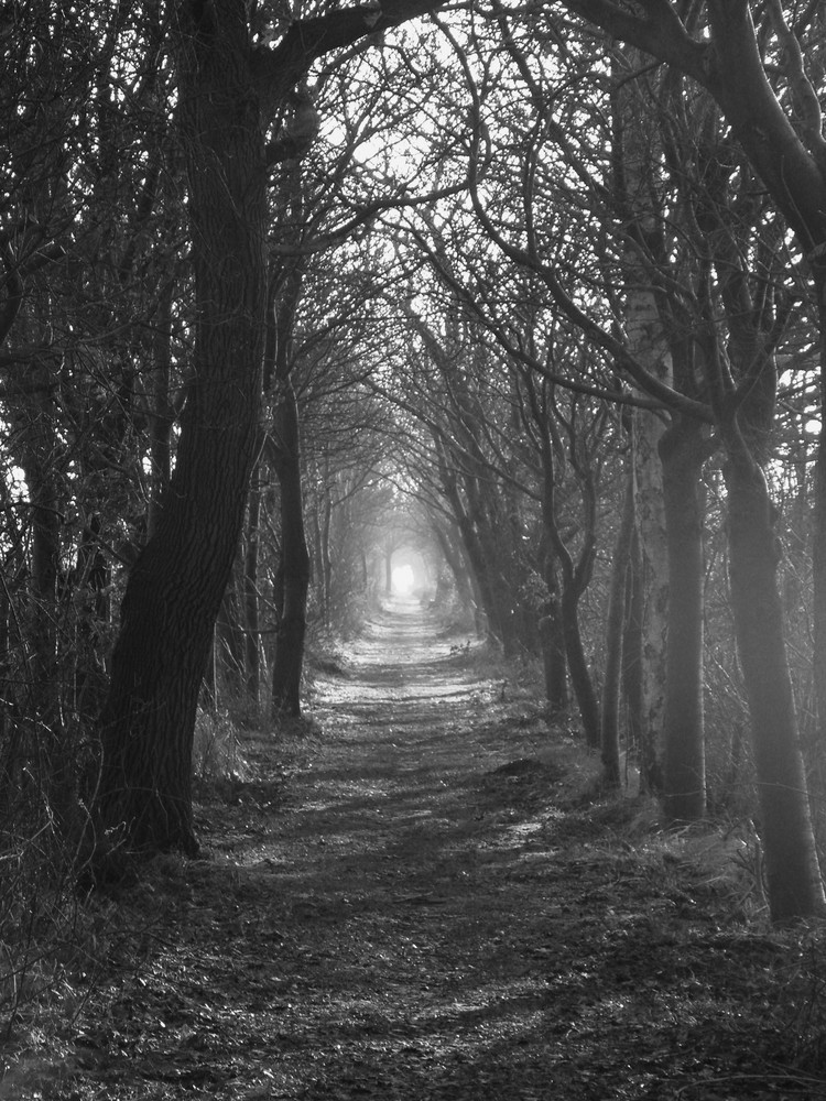 Lonely Way / Einsamer Weg Foto & Bild natur, landschaften, youth