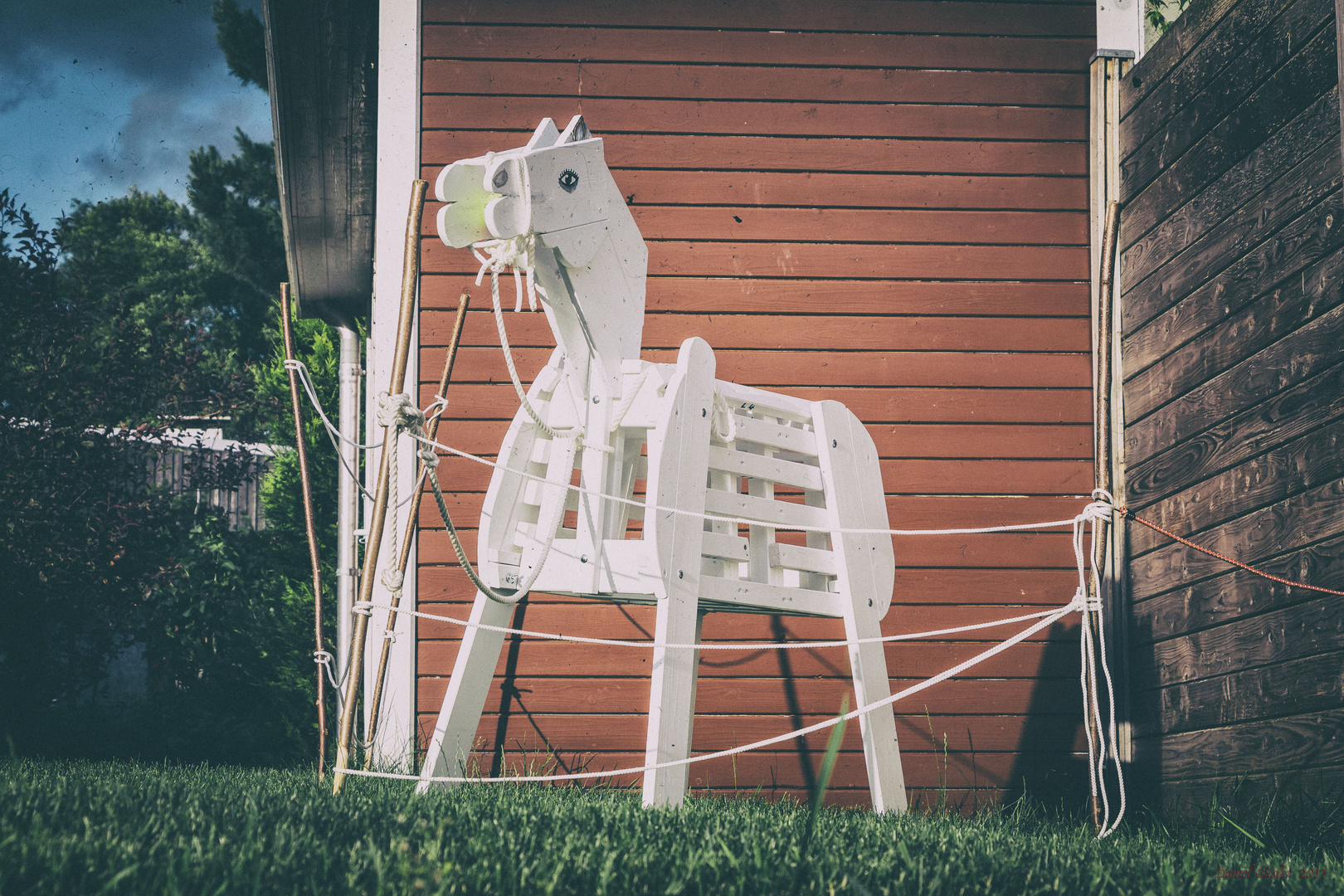 lonely wooden horse