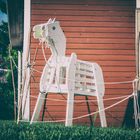 lonely wooden horse