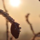 lonelyness in sunshine