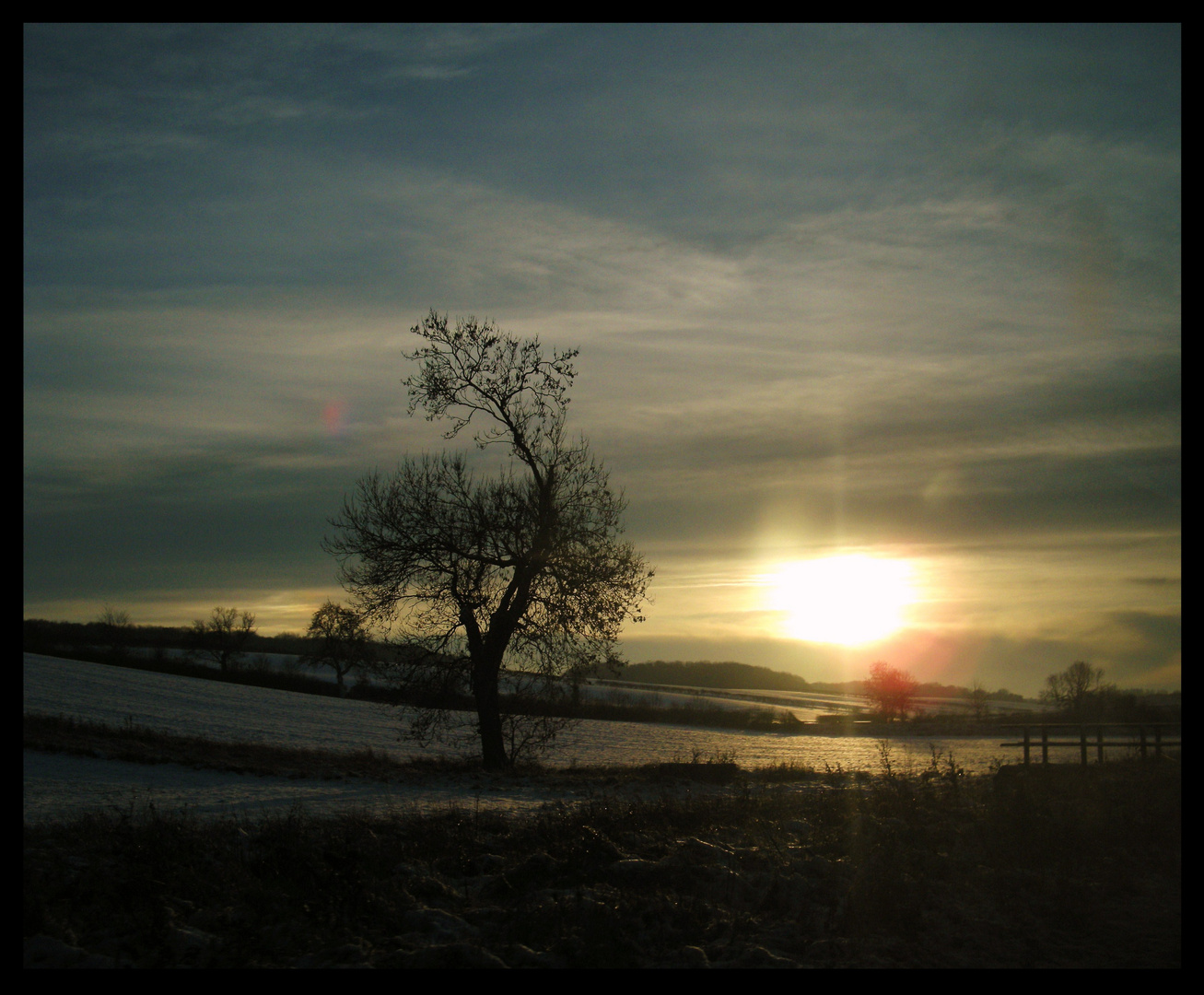 Lonelyness in the shadow