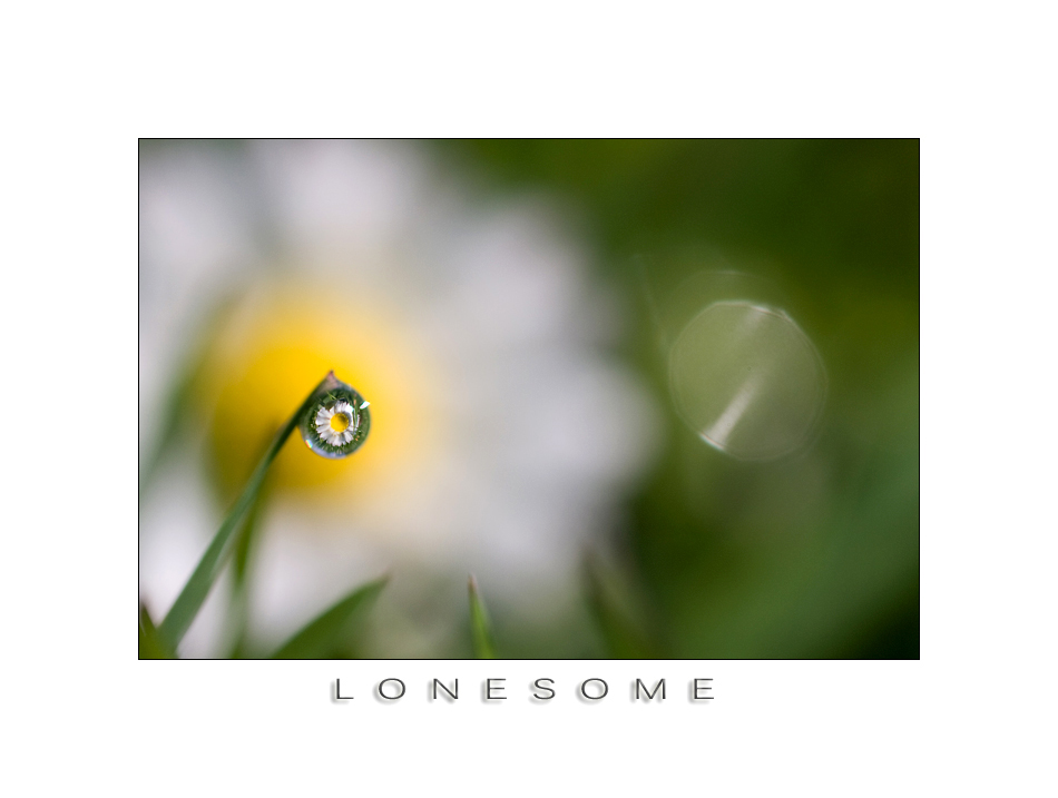 " lonesome "