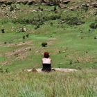 Lonesome at Golden Gate Park