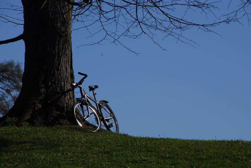 Lonesome Bike