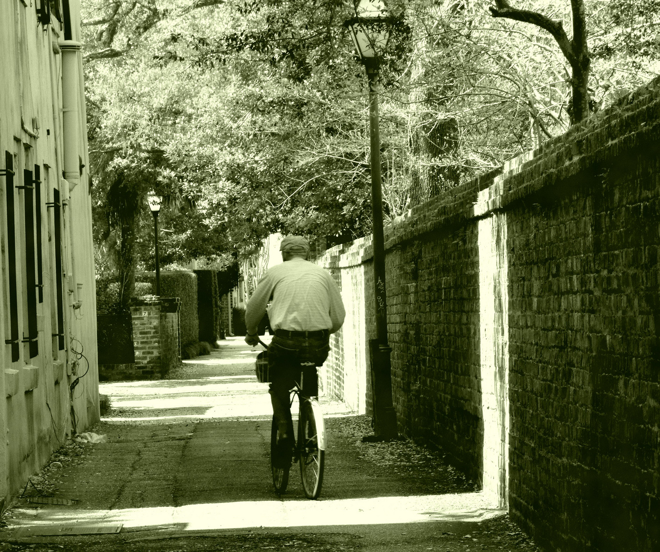 Lonesome Biker