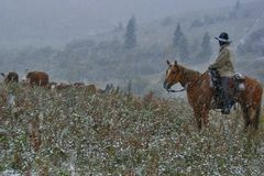 Lonesome Cowboy