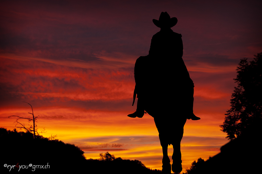 Lonesome Cowgirl going out West