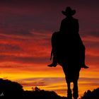 Lonesome Cowgirl going out West