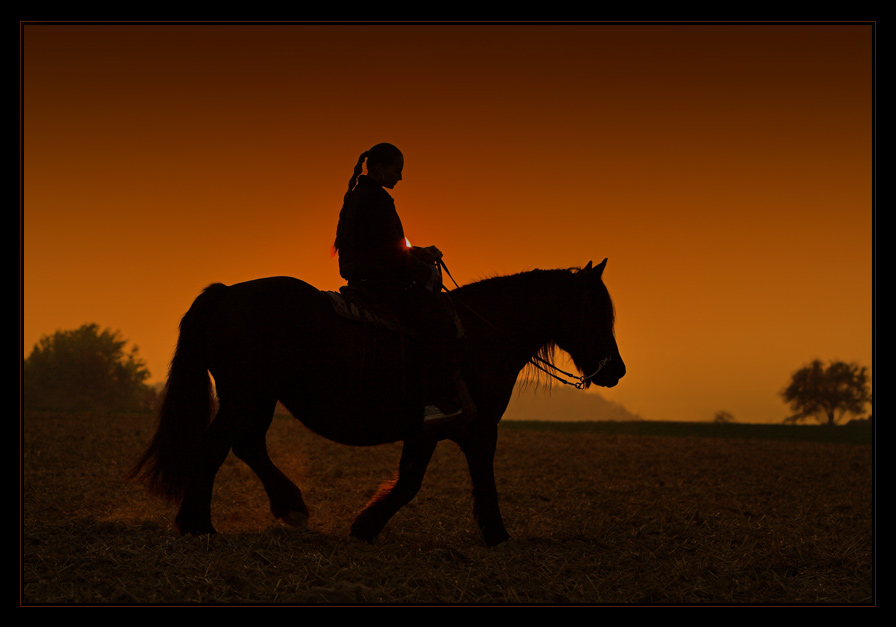 Lonesome Cowgirl... [oder: "Habe ich noch Buddies?"]