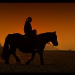 Lonesome Cowgirl... [oder: "Habe ich noch Buddies?"]