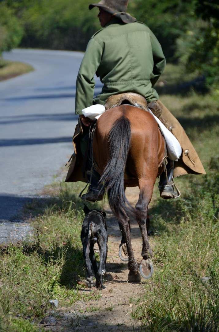 Lonesome cuban cowboy