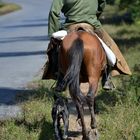 Lonesome cuban cowboy