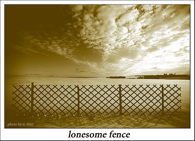 lonesome fence