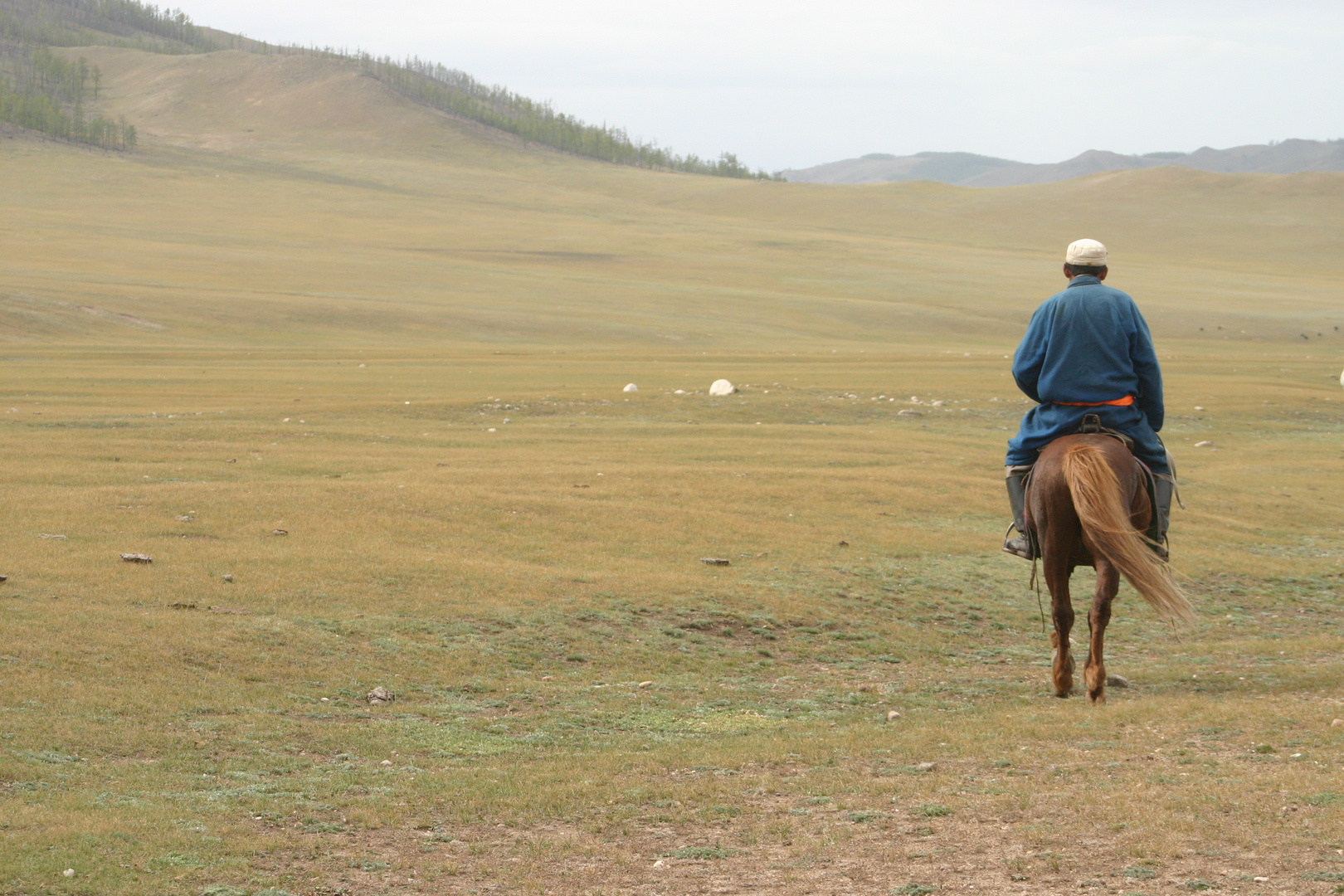 Lonesome Rider