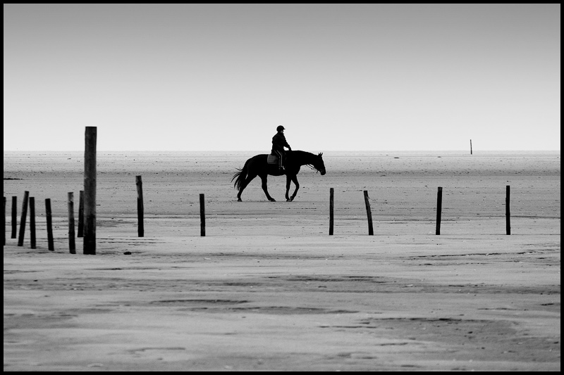 Lonesome Rider