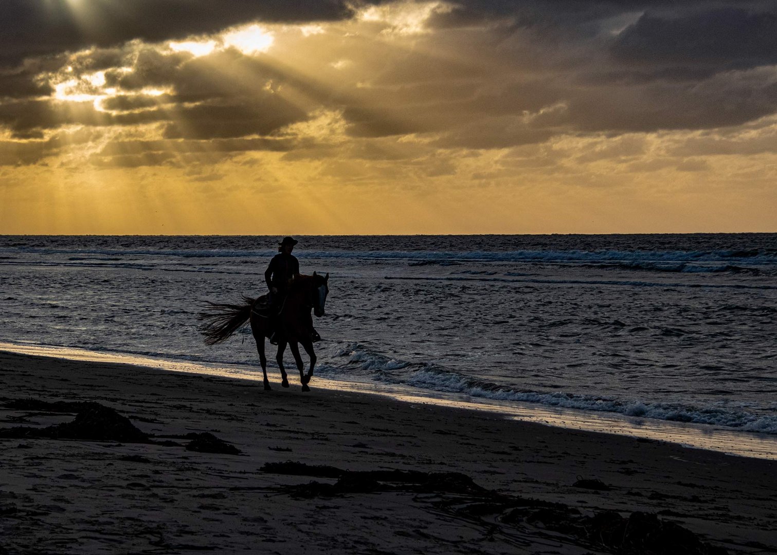 lonesome rider