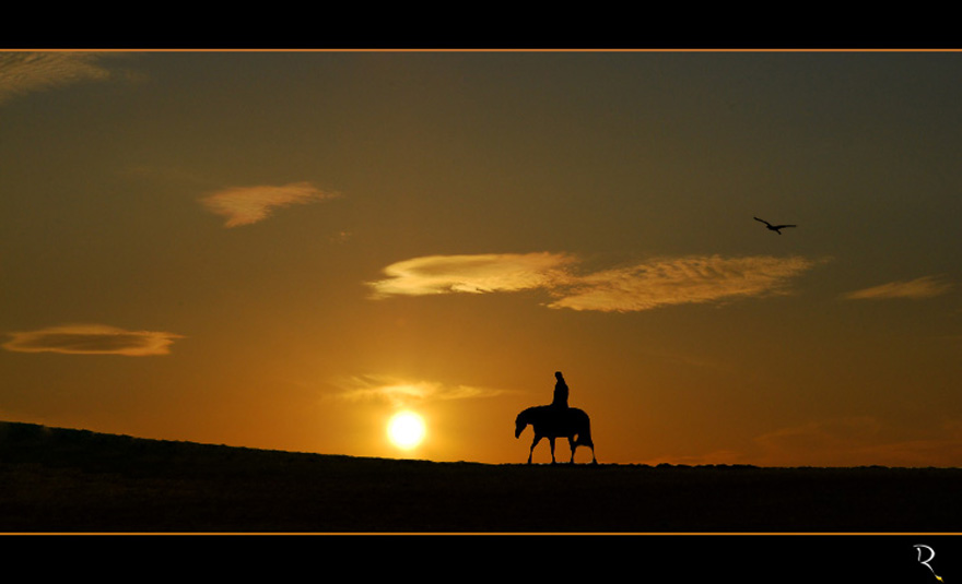 lonesome rider