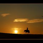 lonesome rider