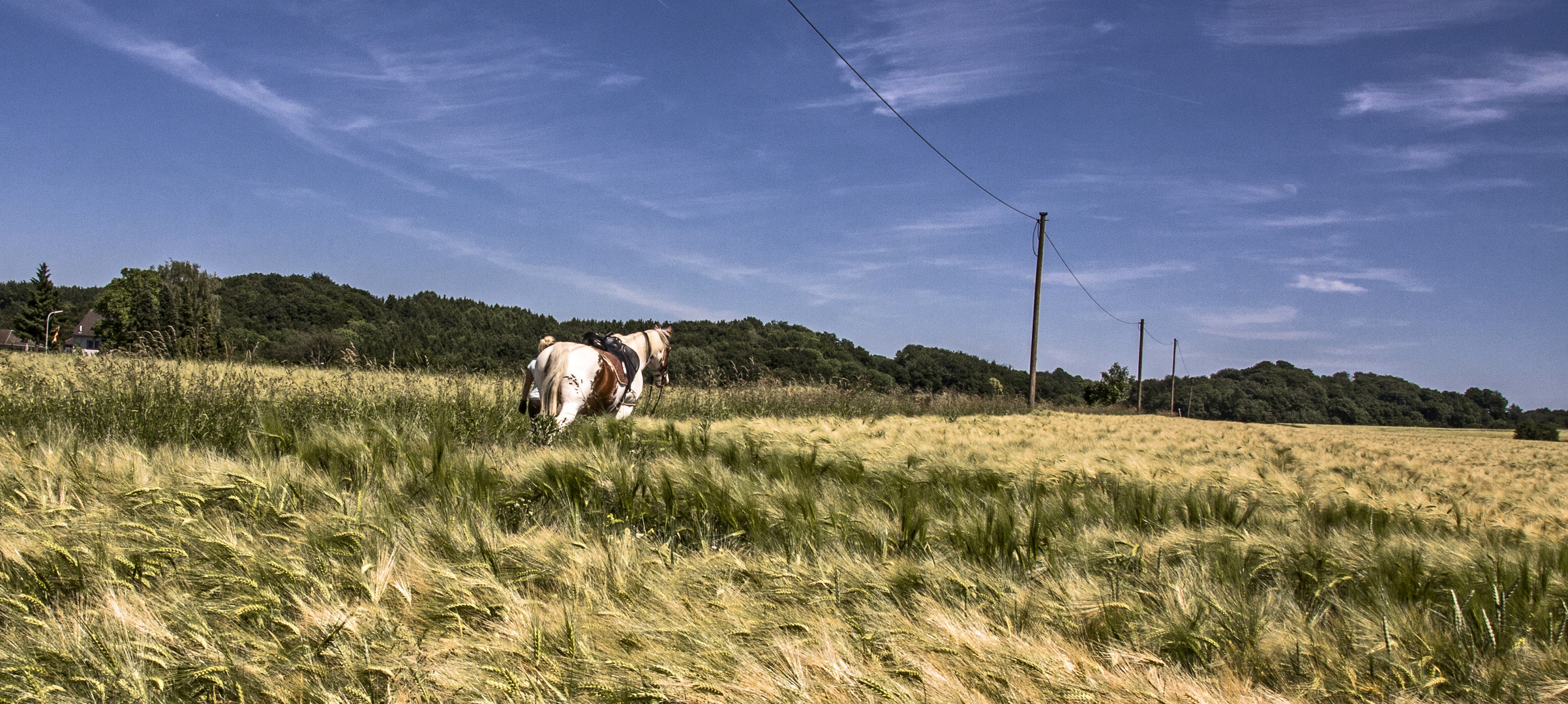 lonesome rider...