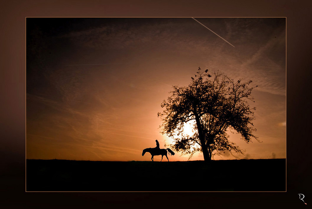 Lonesome rider II