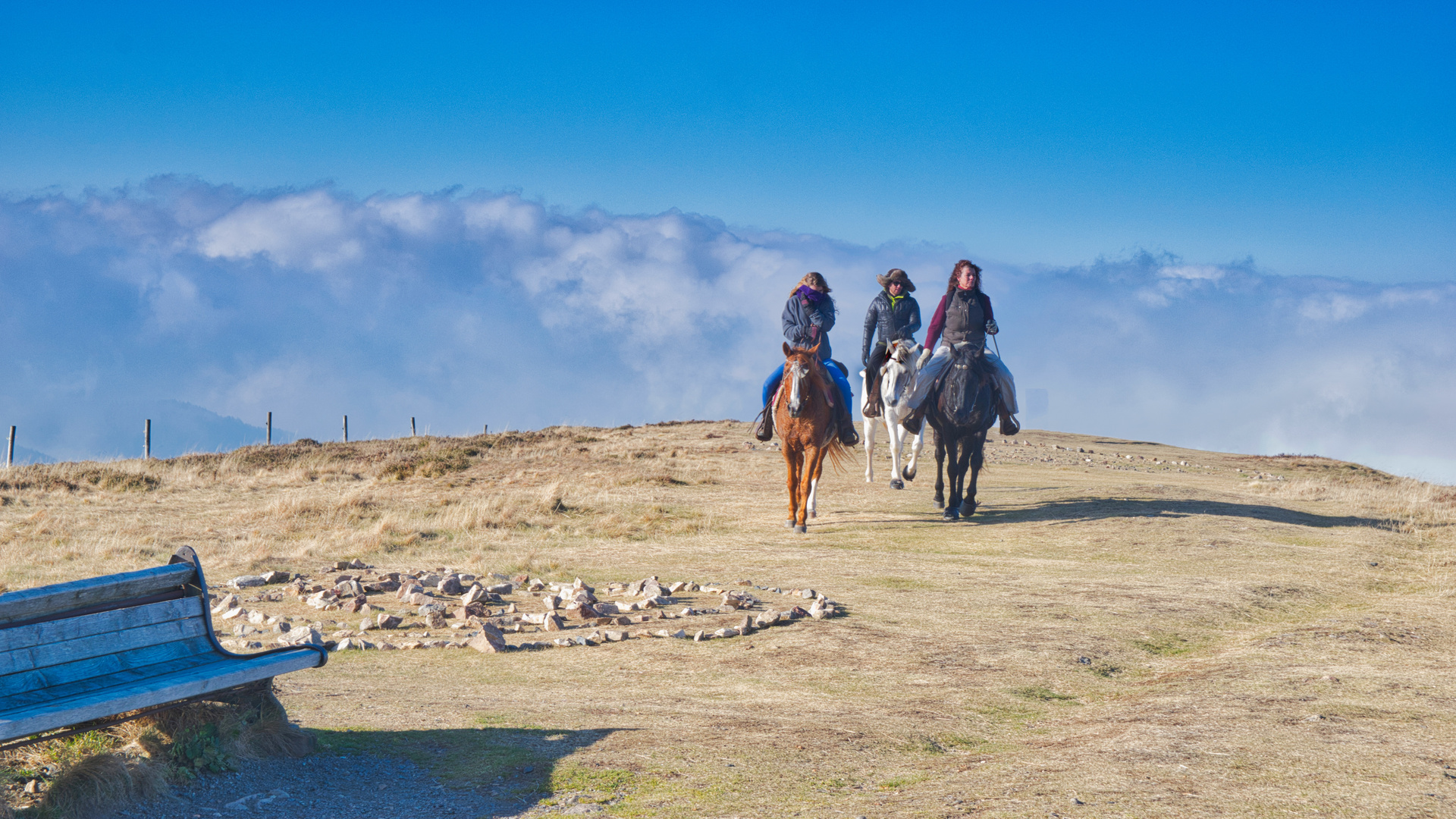 Lonesome Riders