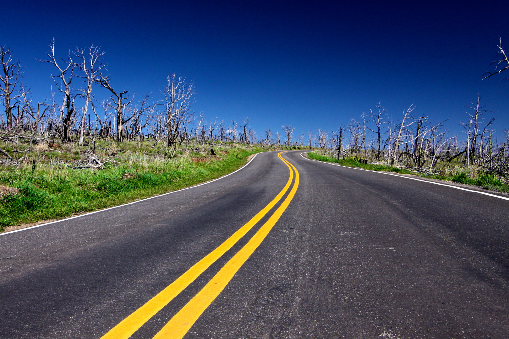 Lonesome Road through Mesa Verde